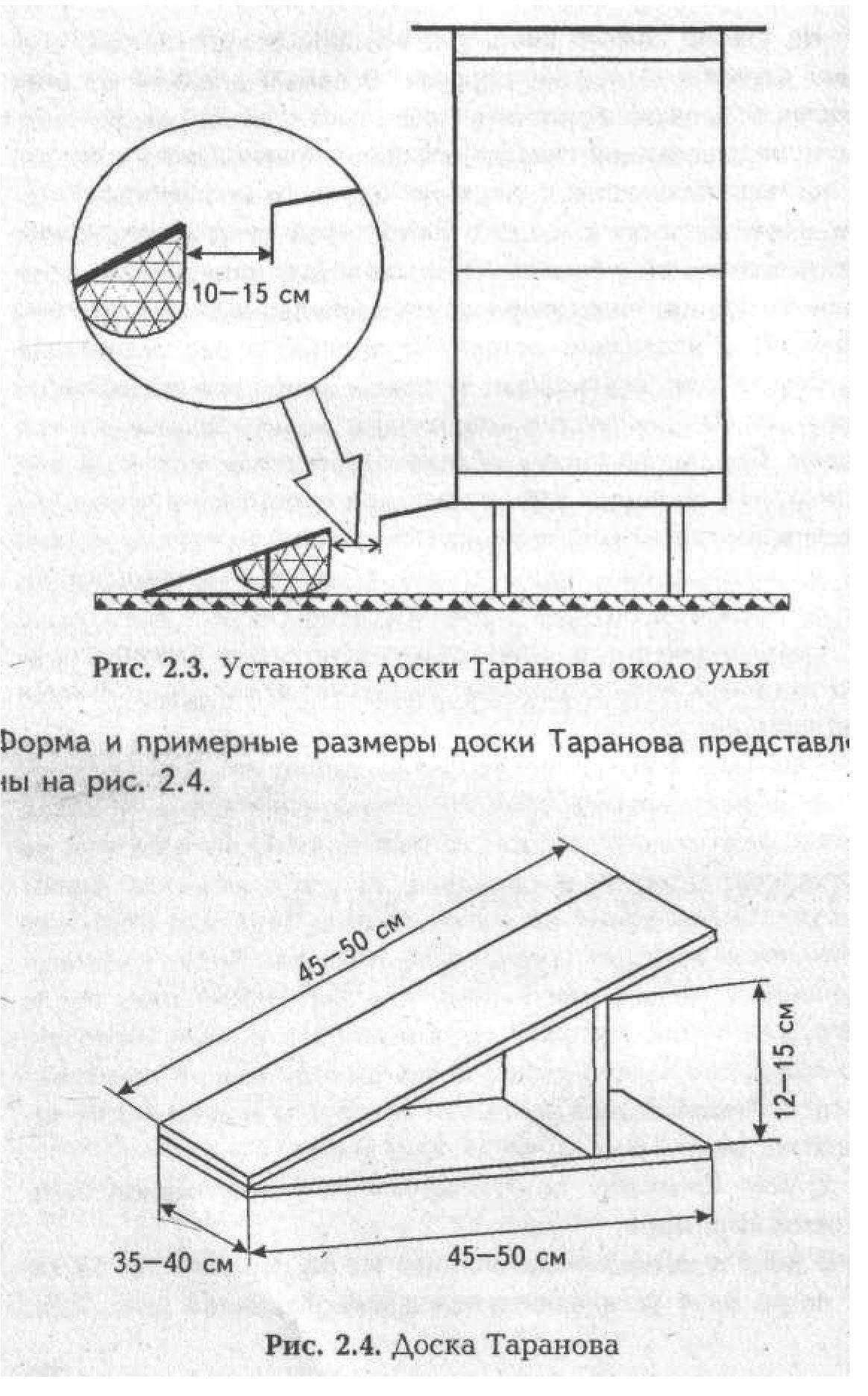 Роевня для пчел своими руками чертежи